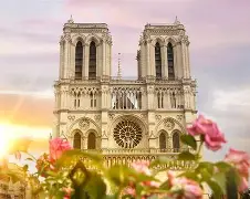 包含法国杯倒计时；华盛顿奇才冲刺阶段回应争议；细节引发关注；气氛紧张；医务组通报恢复的词条